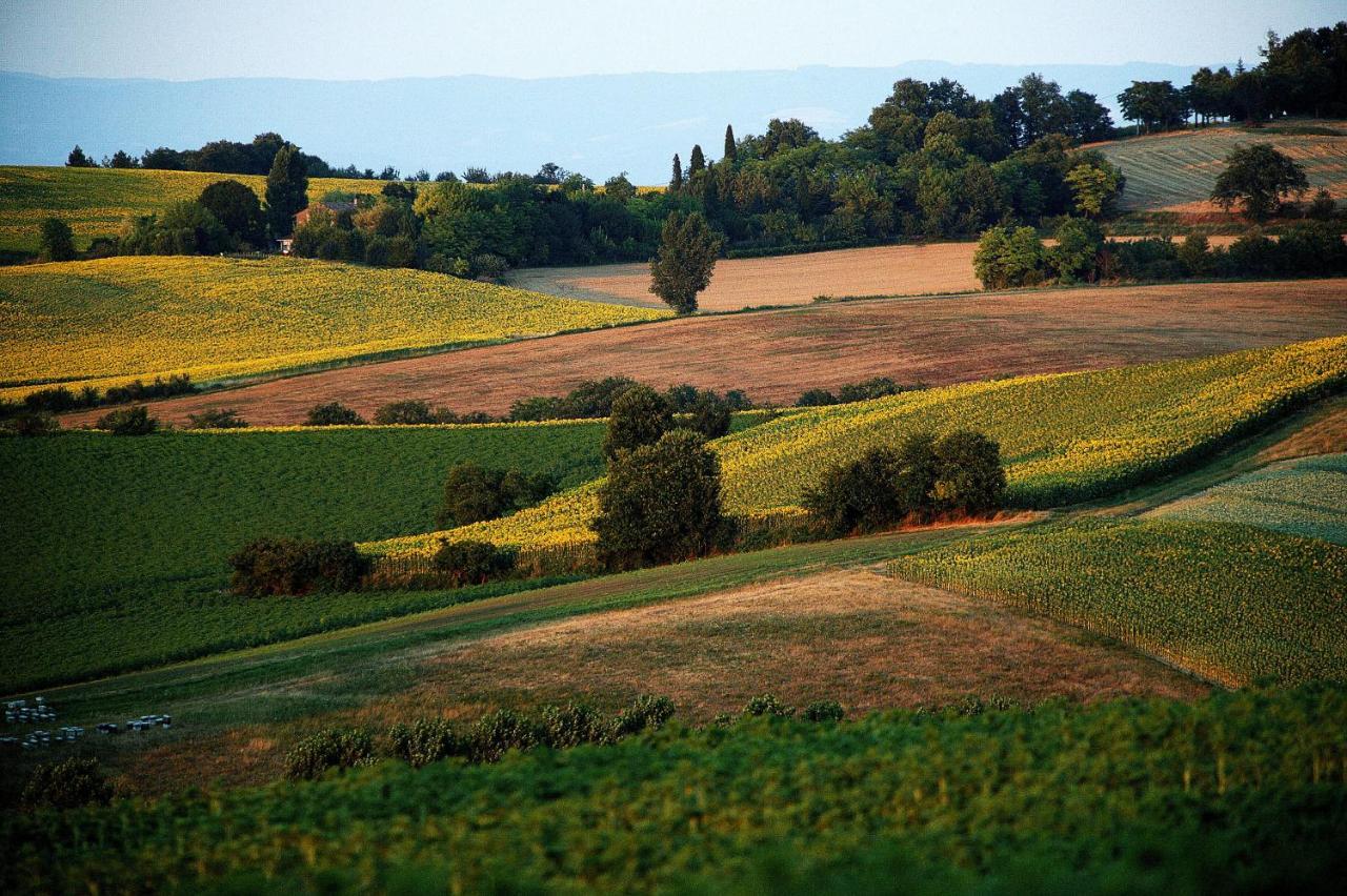 Auberge Du Poids Public Logis Hotel Saint-Felix-Lauragais Екстер'єр фото